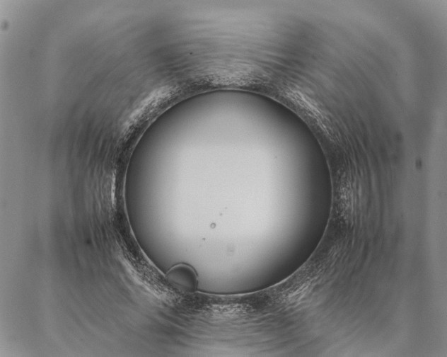 X0000086890686200704231128