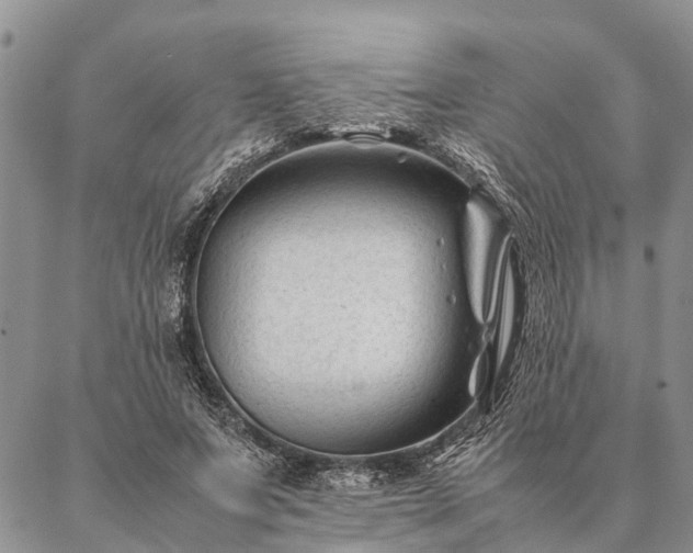 X0000086890687200704231128