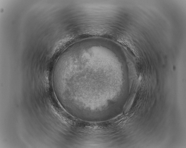 X0000086890688200704231128