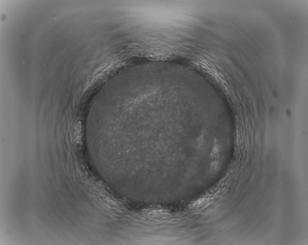 X0000086890689200704231128