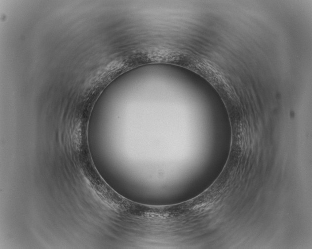 X0000086890690200704231128