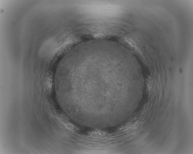 X0000086890691200704231128