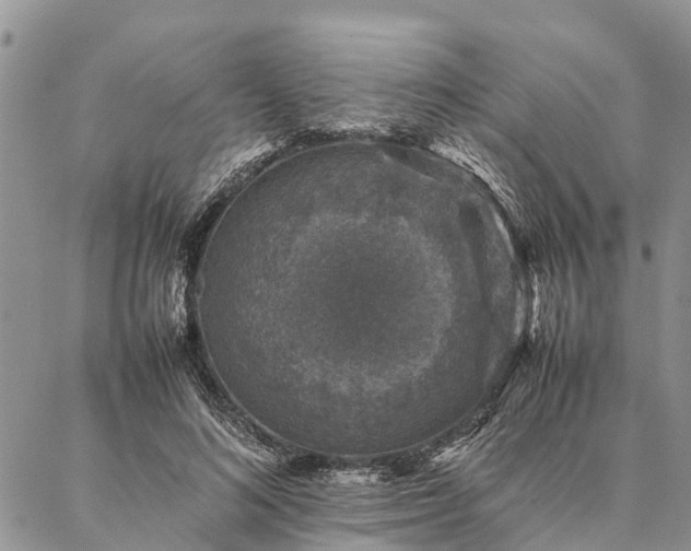 X0000086890692200704231128