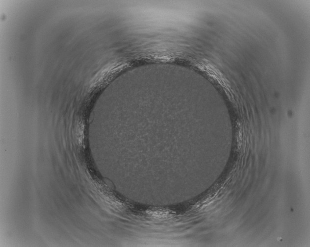 X0000086890693200704231128