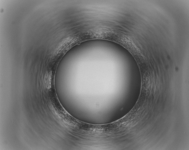 X0000086890694200704231128