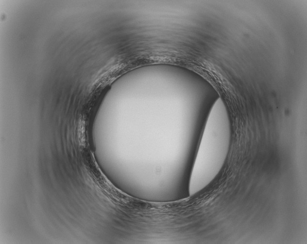 X0000086890696200704231128