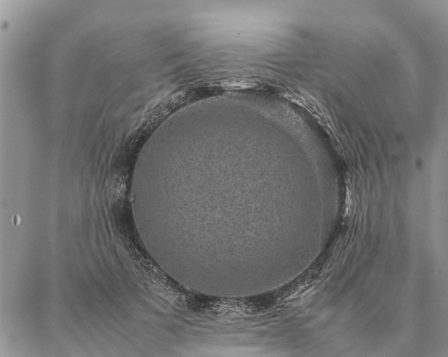 X0000086890697200704231128