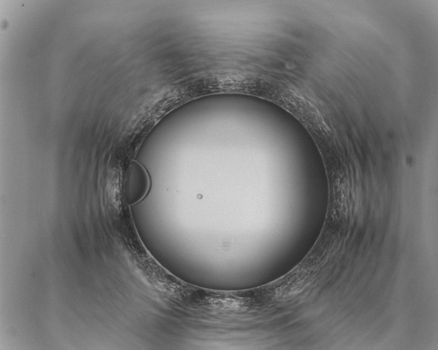 X0000086890698200704231128