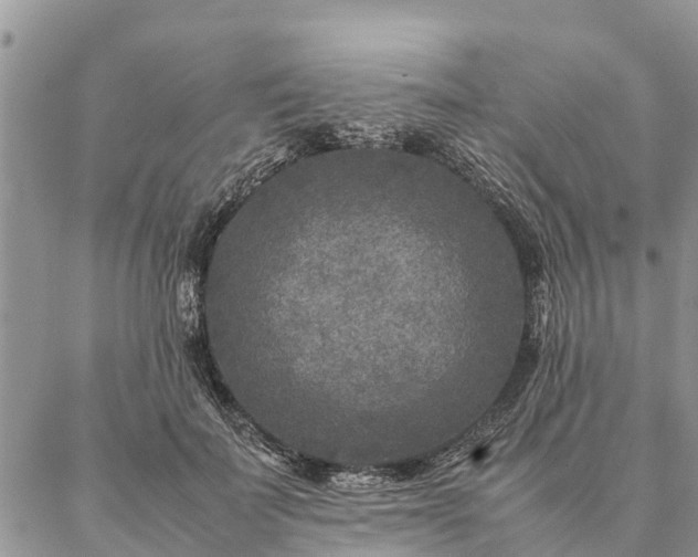 X0000086890699200704231128