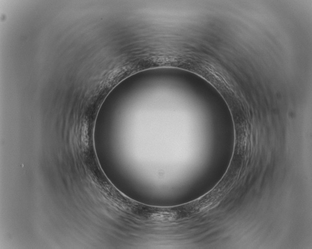 X0000086890700200704231128