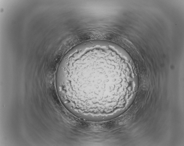 X0000086890701200704231128