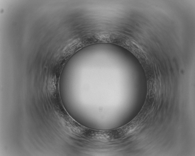 X0000086890702200704231128