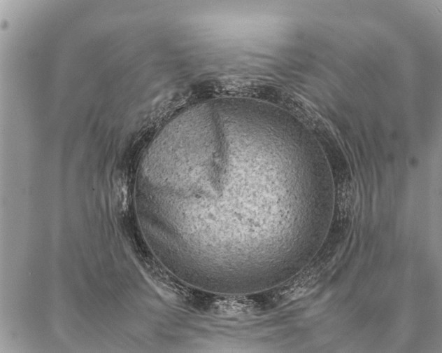 X0000086890703200704231128