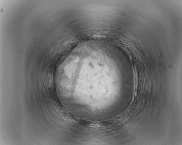 X0000086890704200704231128