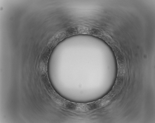 X0000086890705200704231128