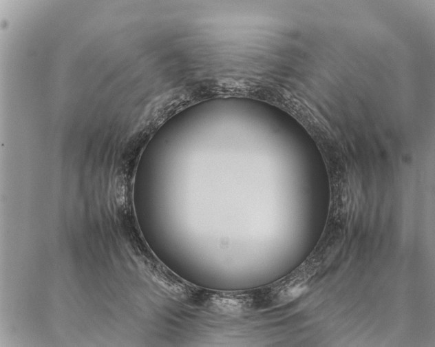 X0000086890706200704231128