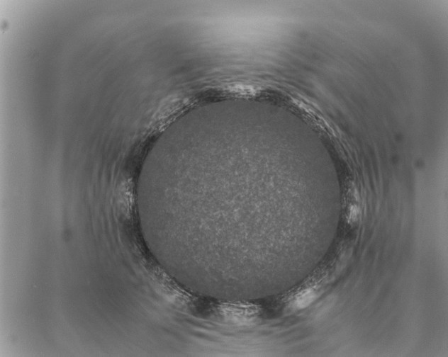 X0000086890707200704231128