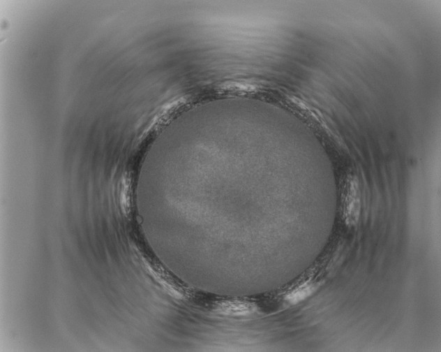 X0000086890708200704231128