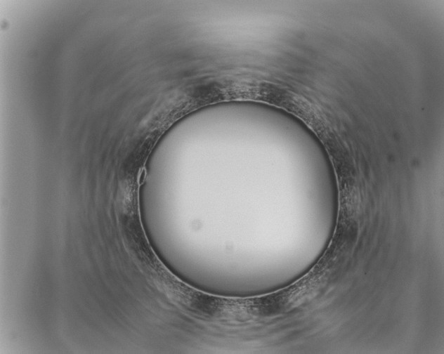 X0000086890709200704231128