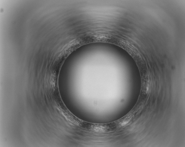 X0000086890710200704231128