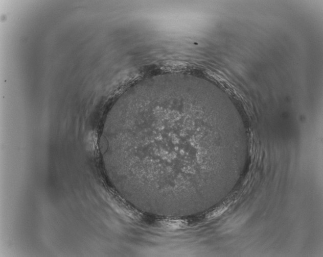 X0000086890711200704231128