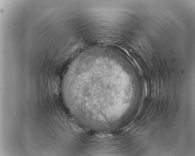 X0000086890712200704231128