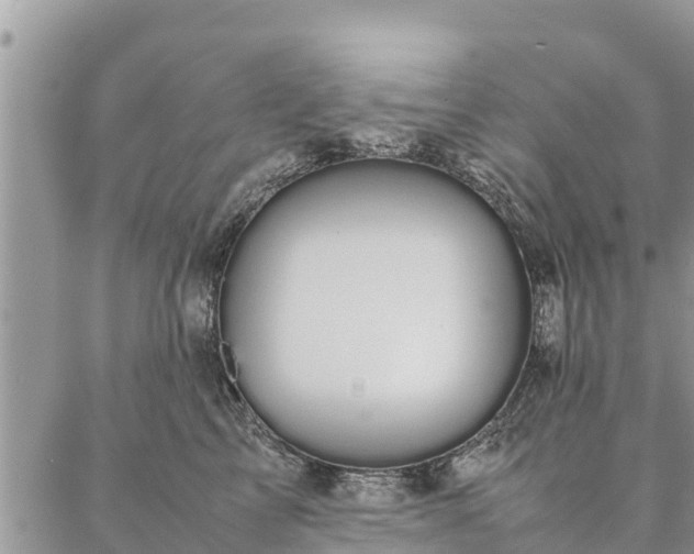 X0000086890713200704231128