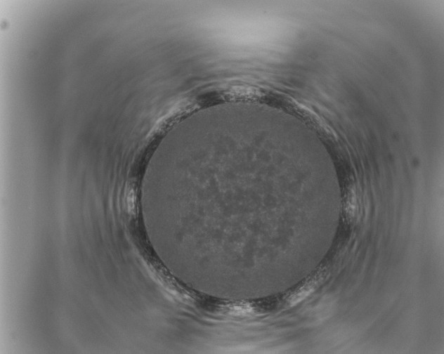 X0000086890715200704231128