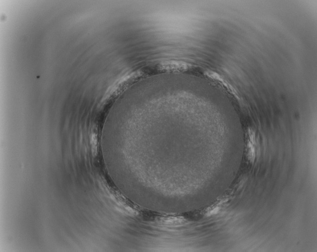 X0000086890716200704231128