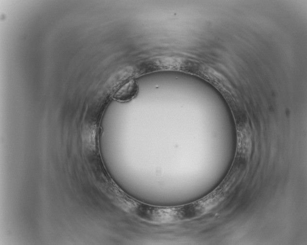 X0000086890717200704231128