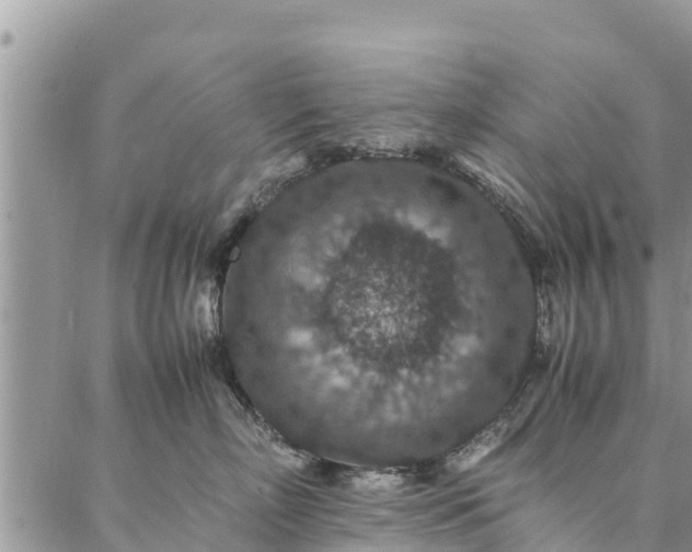 X0000086890718200704231128