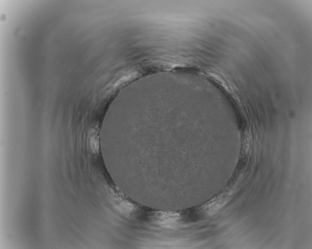 X0000086890719200704231128