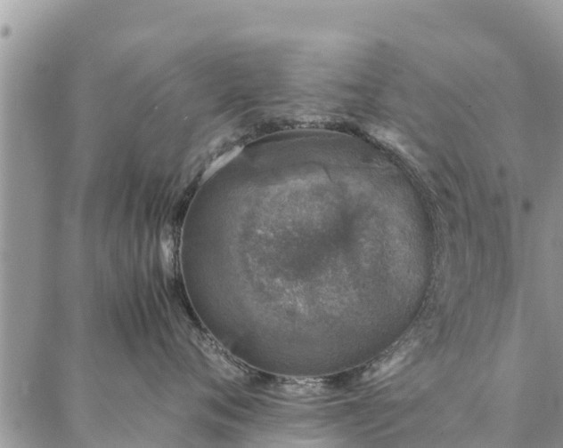 X0000086890720200704231128