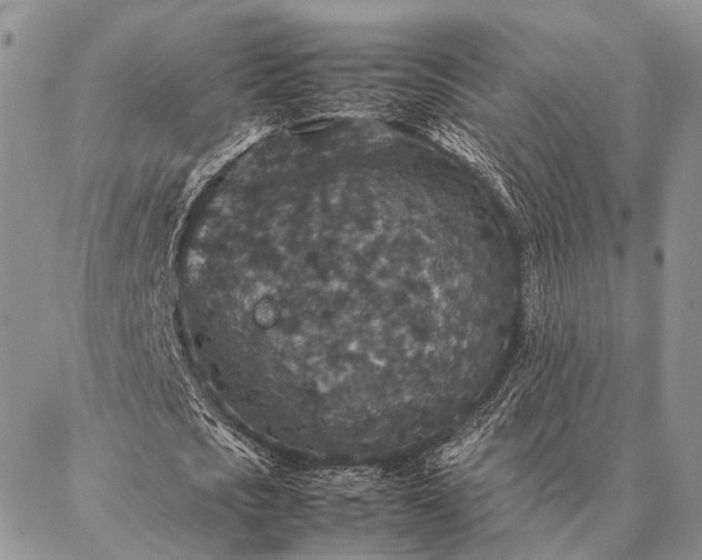 X0000086890721200704231127