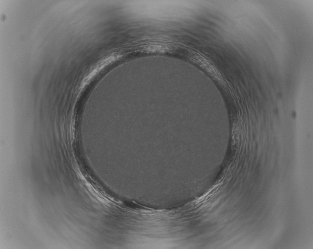 X0000086890722200704231127