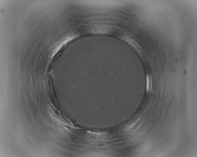 X0000086890723200704231127