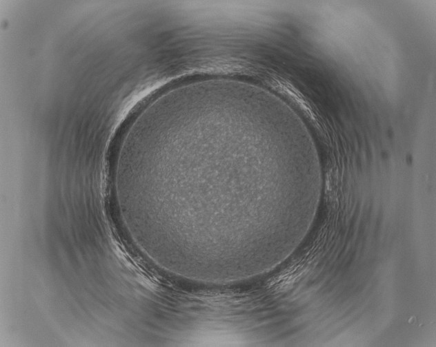 X0000086890724200704231127