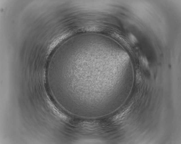 X0000086890725200704231127