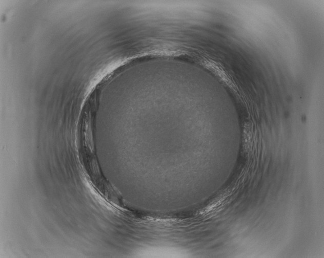 X0000086890726200704231127