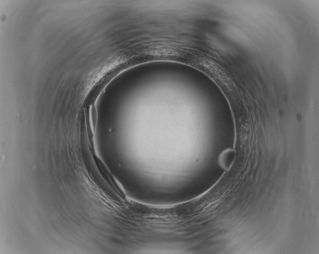 X0000086890727200704231127