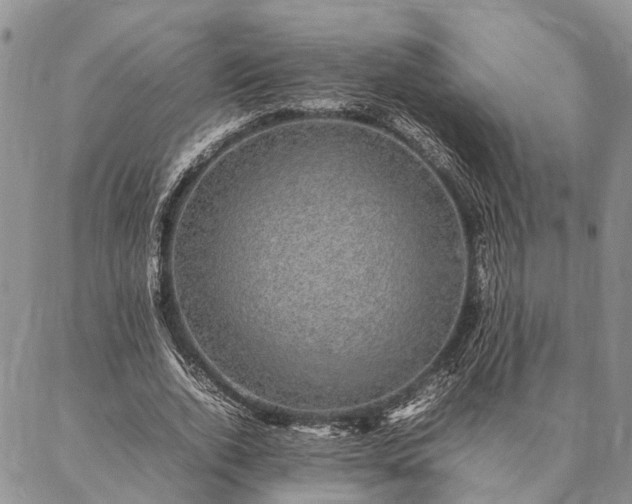 X0000086890728200704231127