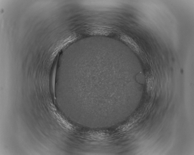 X0000086890729200704231127