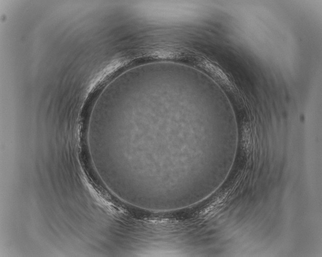 X0000086890730200704231127