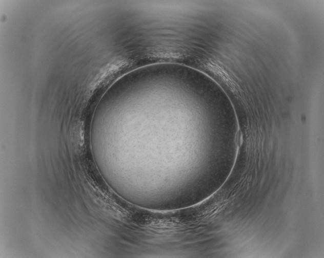 X0000086890731200704231127