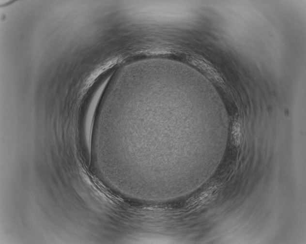 X0000086890732200704231127