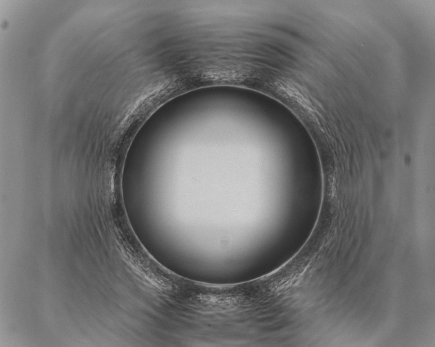 X0000086890733200704231127