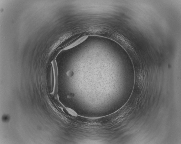 X0000086890734200704231127