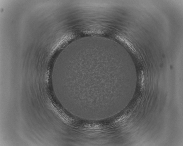 X0000086890735200704231127