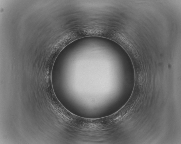 X0000086890737200704231127