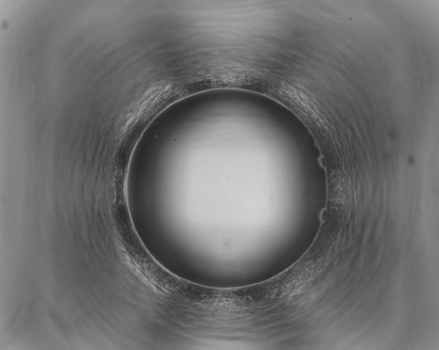 X0000086890738200704231127